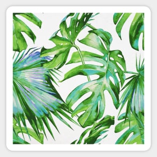 Tropical Elation | Palms and Ferns Pattern Sticker